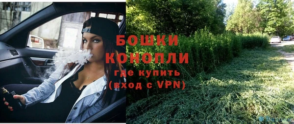 mdpv Болотное