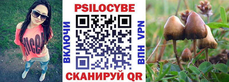 купить наркоту  Ковылкино  Псилоцибиновые грибы Magic Shrooms 