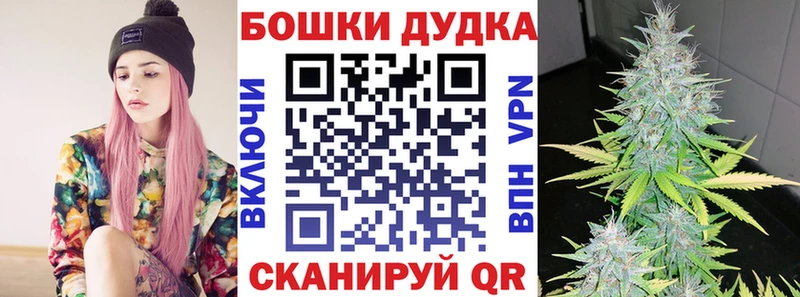 MEGA как зайти  Ковылкино  Бошки Шишки SATIVA & INDICA 